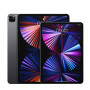 iPad Pro M5 11" 5G 256 Go