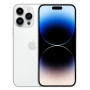 iPhone 15 Pro Max Dual Silver 256GB
