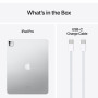 Apple iPad Pro 13 M4 WiFi  2To