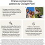 Google Pixel 11 Pro XL 5G