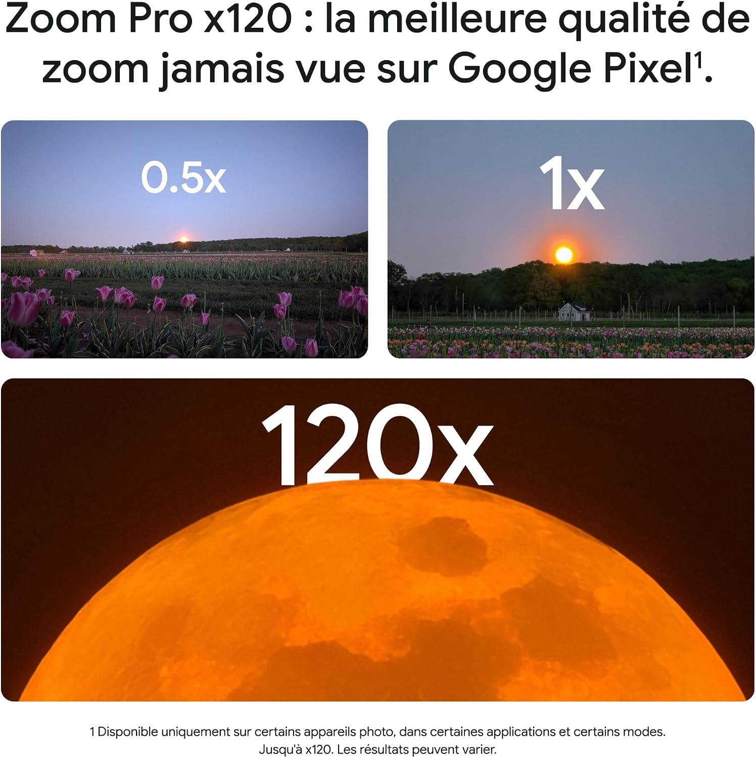 21494.jpg